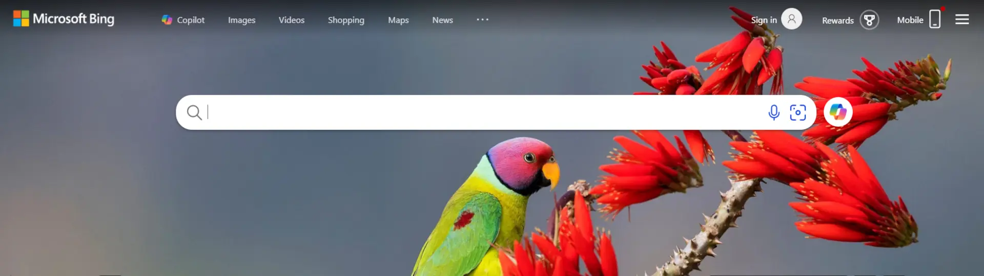 Bing Search Engine Background